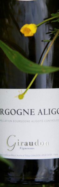 Les chais Saint Laurent Bourgogne Aligoté Domaine Giraudon